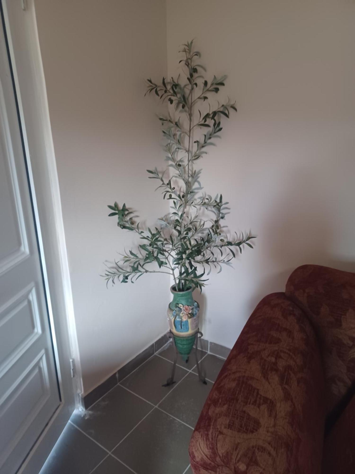 Olive Holiday Home 라가나스 외부 사진