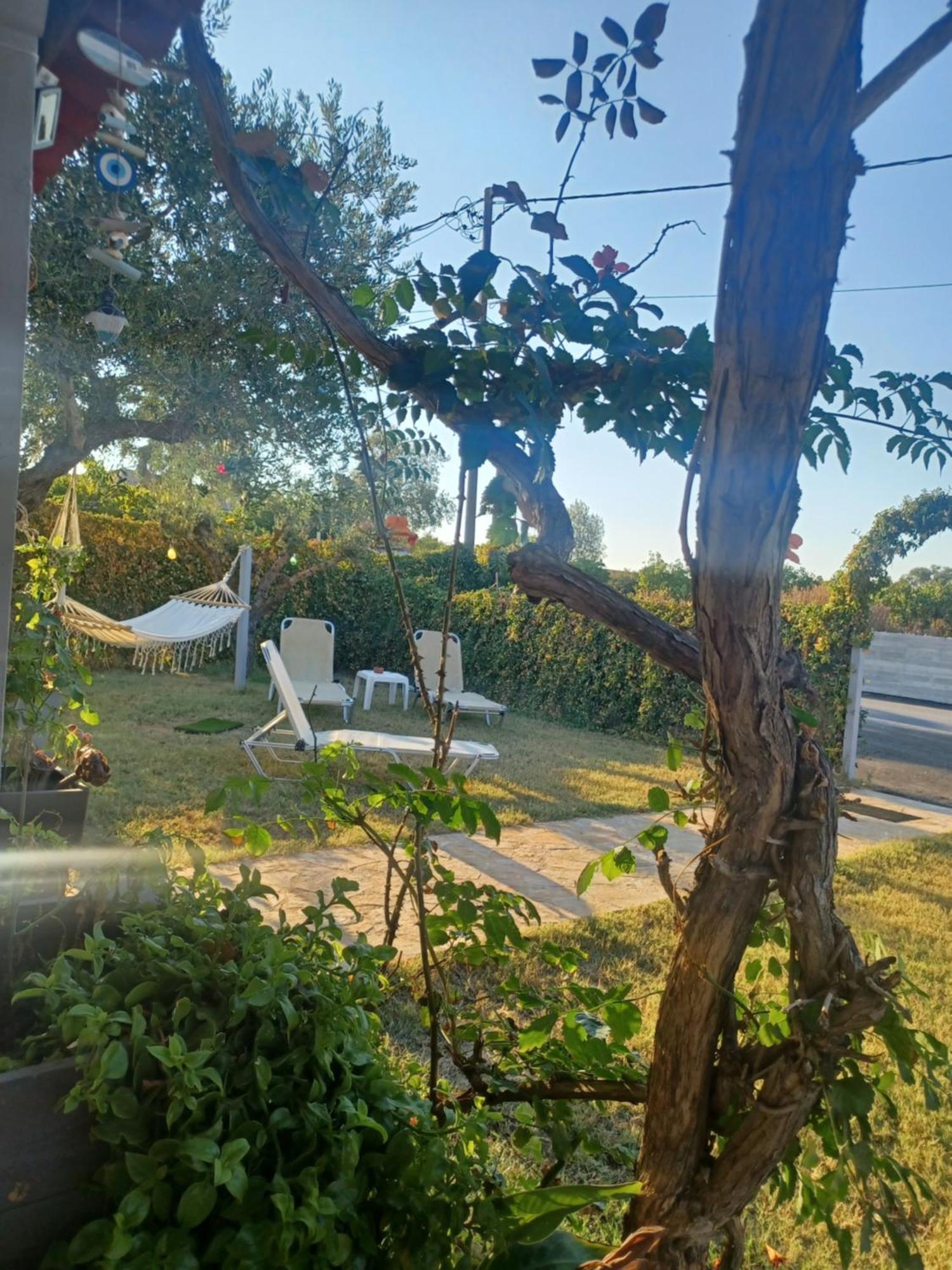 Olive Holiday Home 라가나스 외부 사진